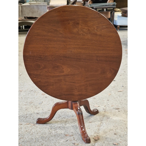 Lot 20        
