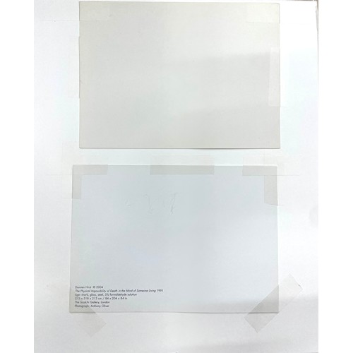 11 - Damien Hirst (b. 1965) - Shark in formaldehyde, with accompanying photograph of the original exhibit... 