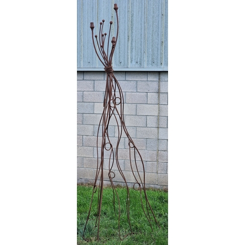 Lot 36        