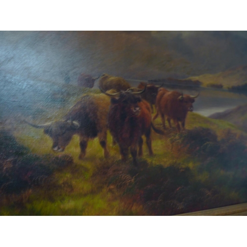 240 - Pair of Highland cattle oils on canvas by Henry Robinson Hall (1859-1927)