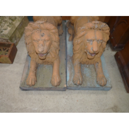 672 - 2 x Lion garden ornaments 70cm x 30 x 40 height