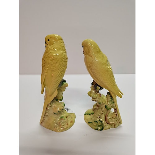 14 - Beswick 2X Budgies (yellow) 2357 18cm 1216 & 1217 EXC