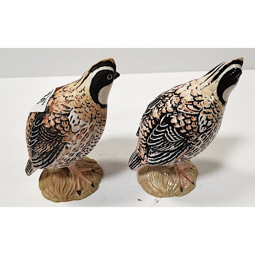 106 - 2XBeswick Bobwhite Quails 2121 (1 gloss, 1 matt)