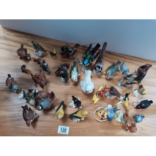 120 - 36 Goebel Birds