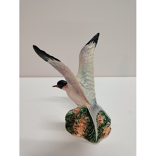 33 - Beswick Seagull 768