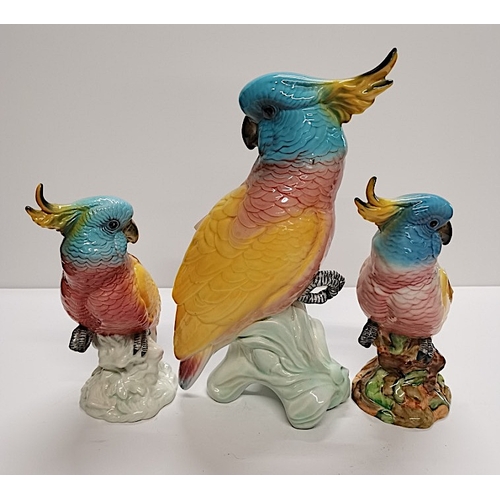 41 - 3 Beswick Cockatoos 1180 (2 x 20cm 1 x 30cm)