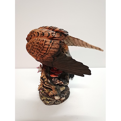 52 - Royal Doulton Kestrel DA144 Ltd Edition Model by J G Tongue VGC