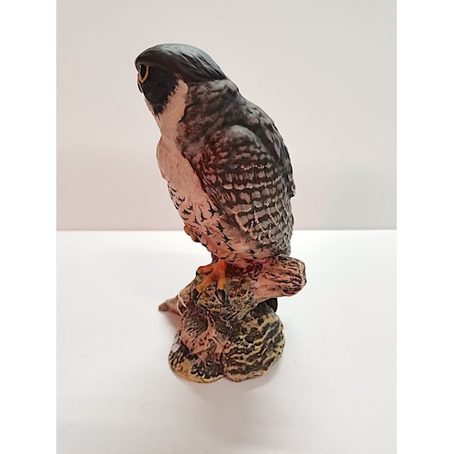 77 - Doulton Peregrine Falcon HN3541 by JG Tongue 25cm