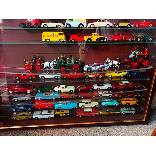 353 - Coll of Toy Cars in mounted case