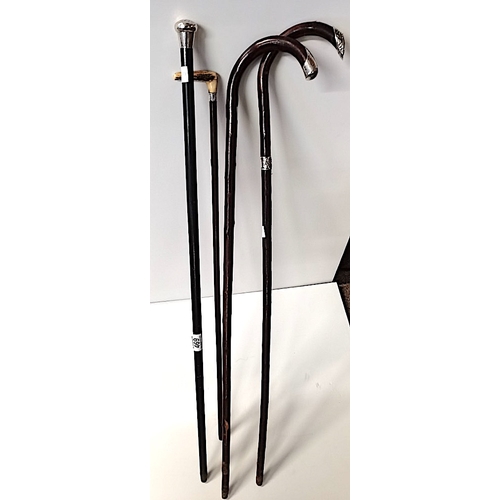 469 - 4 Silver Top Walking Sticks & Canes