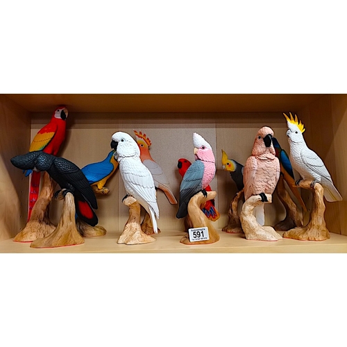 591 - 11 Parrot Figures by North Light 1980