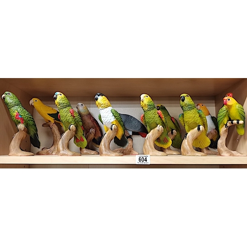 604 - 11 Parrots