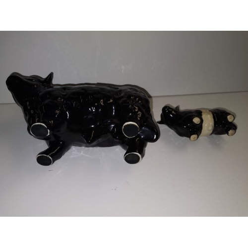 82 - Beswick Whiskey decantor black bull and belted Galloway Not marked