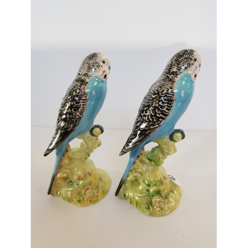 45 - 2 x blue Beswick budgies