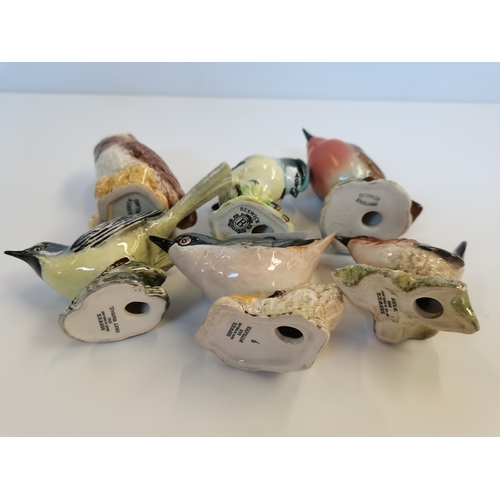 3 - 6 Small Beswick birds Grey Wagtail, Owl, Blue tit, Nuthatch, Wren and Robin