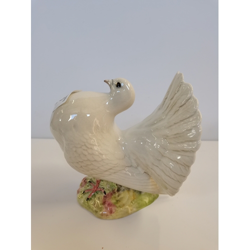 12 - Beswick Large white fantail pigeon No. 1614