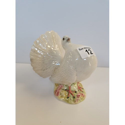 12 - Beswick Large white fantail pigeon No. 1614