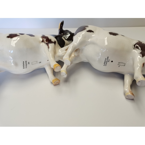 74 - 2 x Beswick Ayrshire bulls white hills mandate (one small restoration)