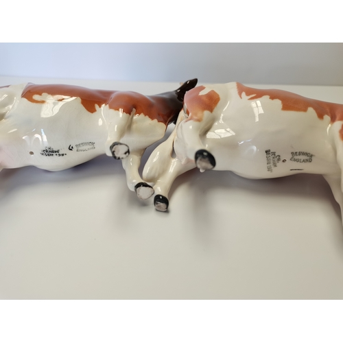 75 - Beswick Ayrshire cow champion ICKHM Bessie (repair to one right horn) with Beswick Ayrshire cow (rep... 