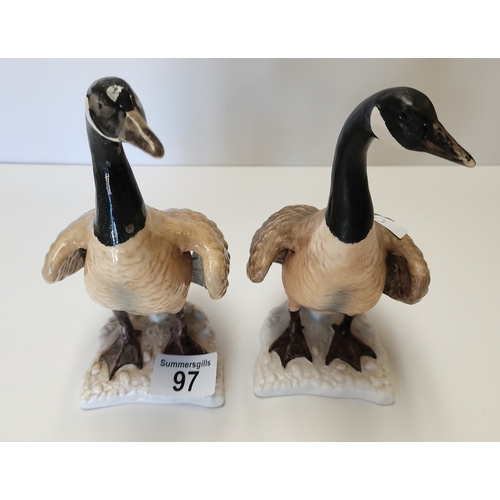 97 - Goebel pair of Canadian Geese