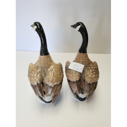 97 - Goebel pair of Canadian Geese