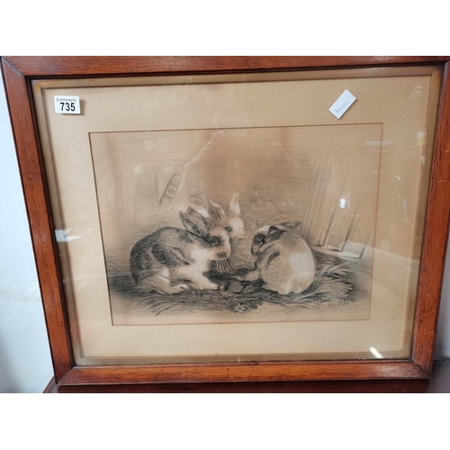 735 - Pencil drawing by Hodgeson 1896 of rabbits