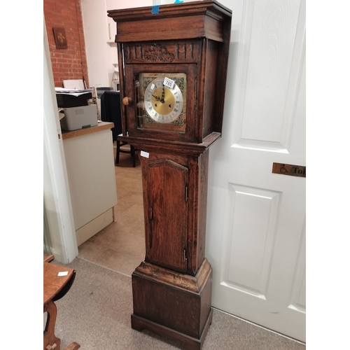 785 - Grandmother oak clock 