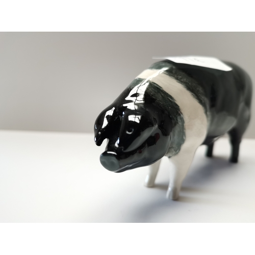 141a - Beswick Wessex Saddleback Sow