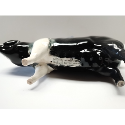 141a - Beswick Wessex Saddleback Sow