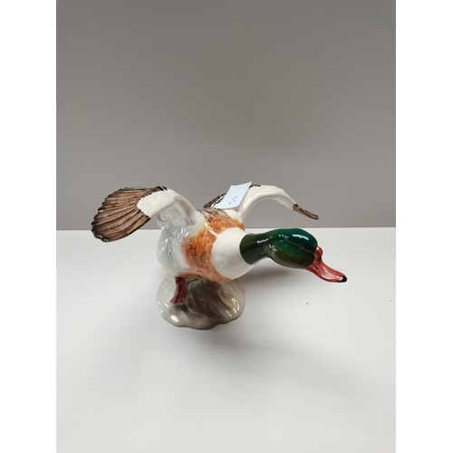 135a - Beswick Shelldrake landing (perfect)