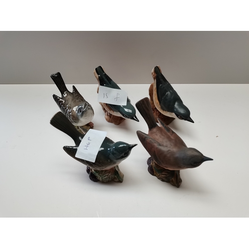 15f - Beswick Nuthatch and Whitethroat birds