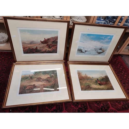 464 - 4 x large ltd edition prints of birds by Archiebald Thorburn