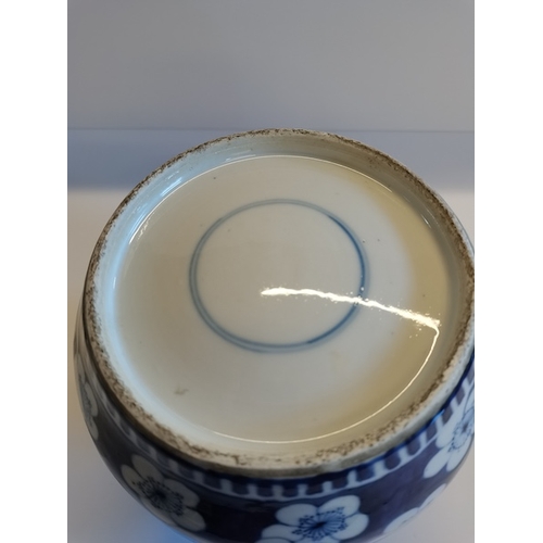 1 - Chinese blue and white ginger jar ( Hairlines )