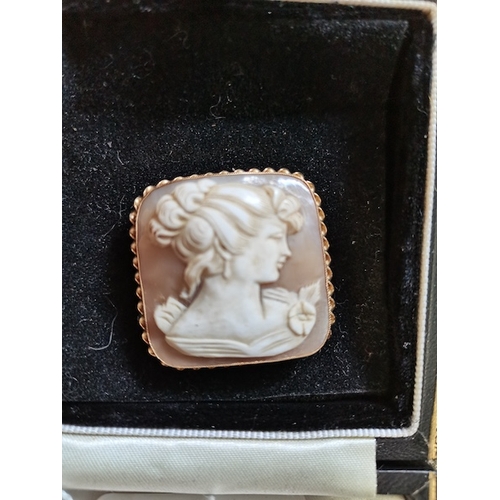 443a - 9ct gold cameo