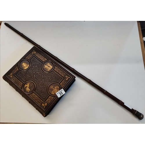 Lot 25        