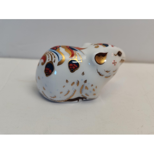 27 - Royal Crown Derby Bank Vole in Box 