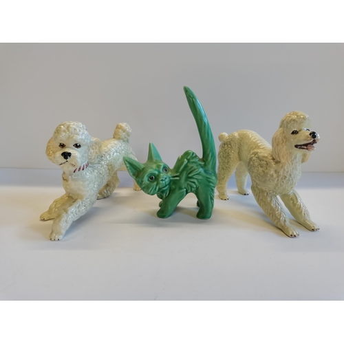 16 - Sylvac Cat and x2 Royal Winton Poodle dogs