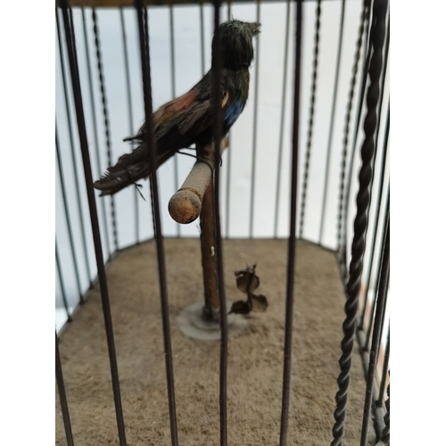 204 - Antique 27cm high cage Automaton with bird and working condition