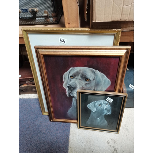 1141 - 3 x framed pictures of Great Danes