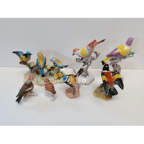 127 - Collection of 7 x bird figures incl Royal Adderley and Goebel all exc. Condition