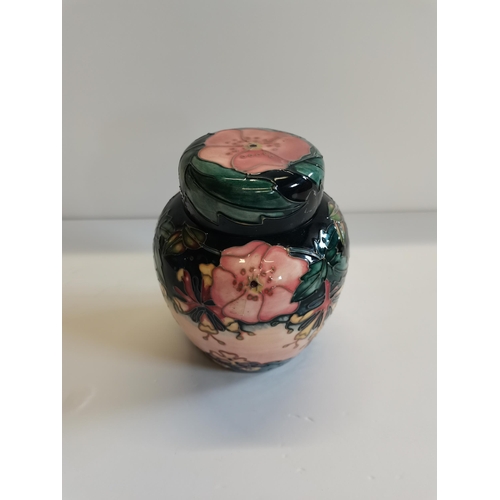 196 - Moorcroft Orberon Ginger jar with lid - H16cm - excellent condition