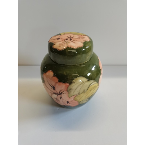 197 - Moorcroft Hibiscus green Ginger jar with lid - H16cm - excellent condition