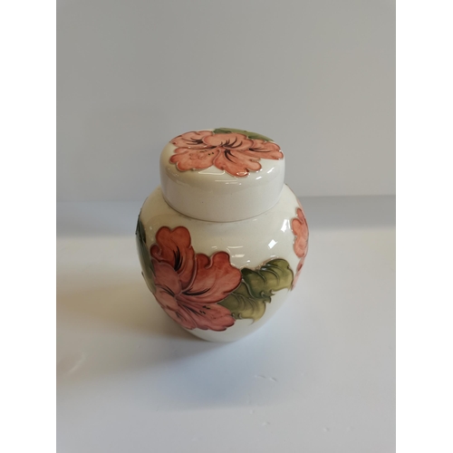 198 - Moorcroft Hibiscus cream Ginger jar with lid - H16cm - excellent condition