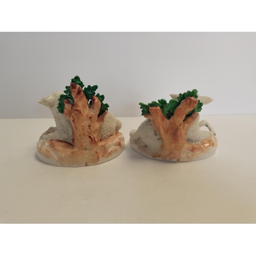 7 - A Pair of coalport sheep