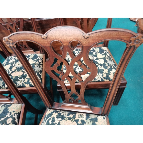 1000 - X6 Chippendale dining chairs. Good condition  ( owner described as Chippendale )