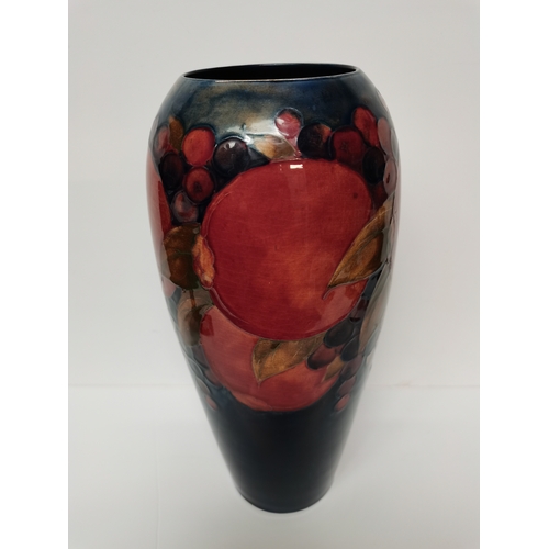 194 - Large Moorcroft vase H33cm Pomegranate design