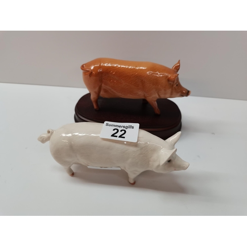 22 - Beswick White pig CH wall champion boy and Royal Doulton Tamworth pig on stand