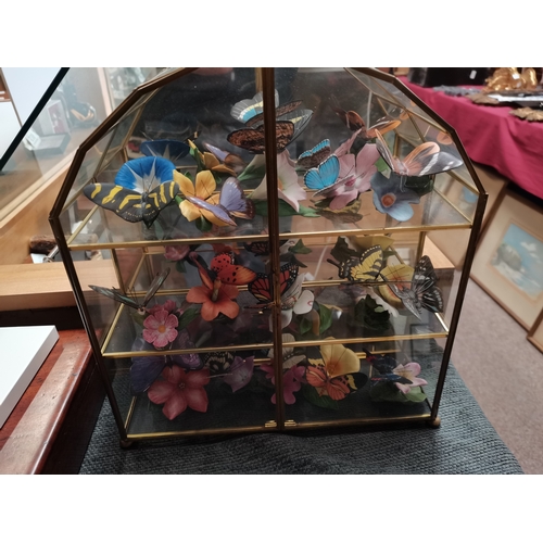 460 - Franklin Mint Butterflies of the world Display with display Case