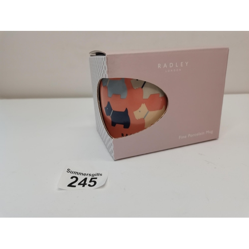 245 - Radley Mug in box