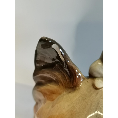 319 - x1 Royal Doulton Yorkshire Terrier figure excellent condition plus one other damage to ear